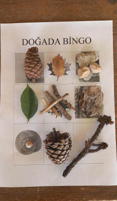 Doğanın Algoritması